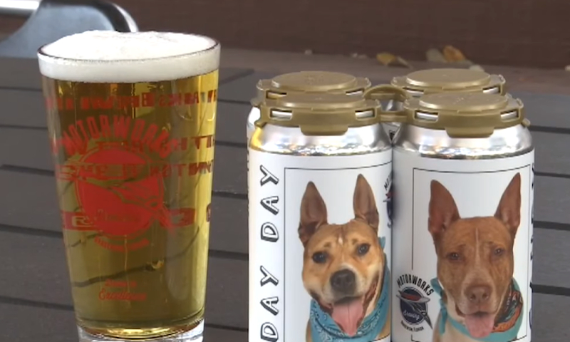 Honden op blikjes bier